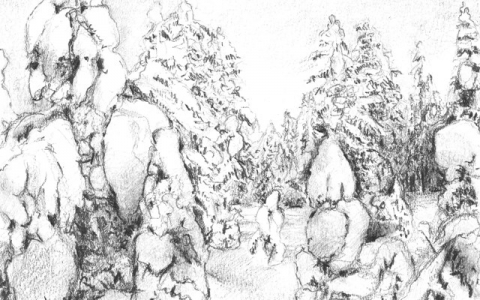 Snowyforest I, 2013, Pencil