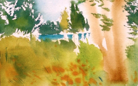 Ruotinkylällä 2010, Akvarelli