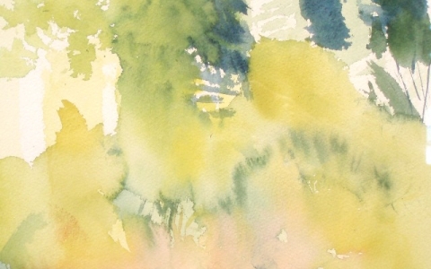 Ruotinkylällä 2010, Akvarelli