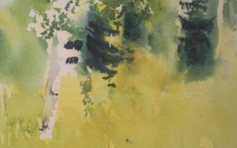 Huoleton kesäpäivä 2010, Akvarelli